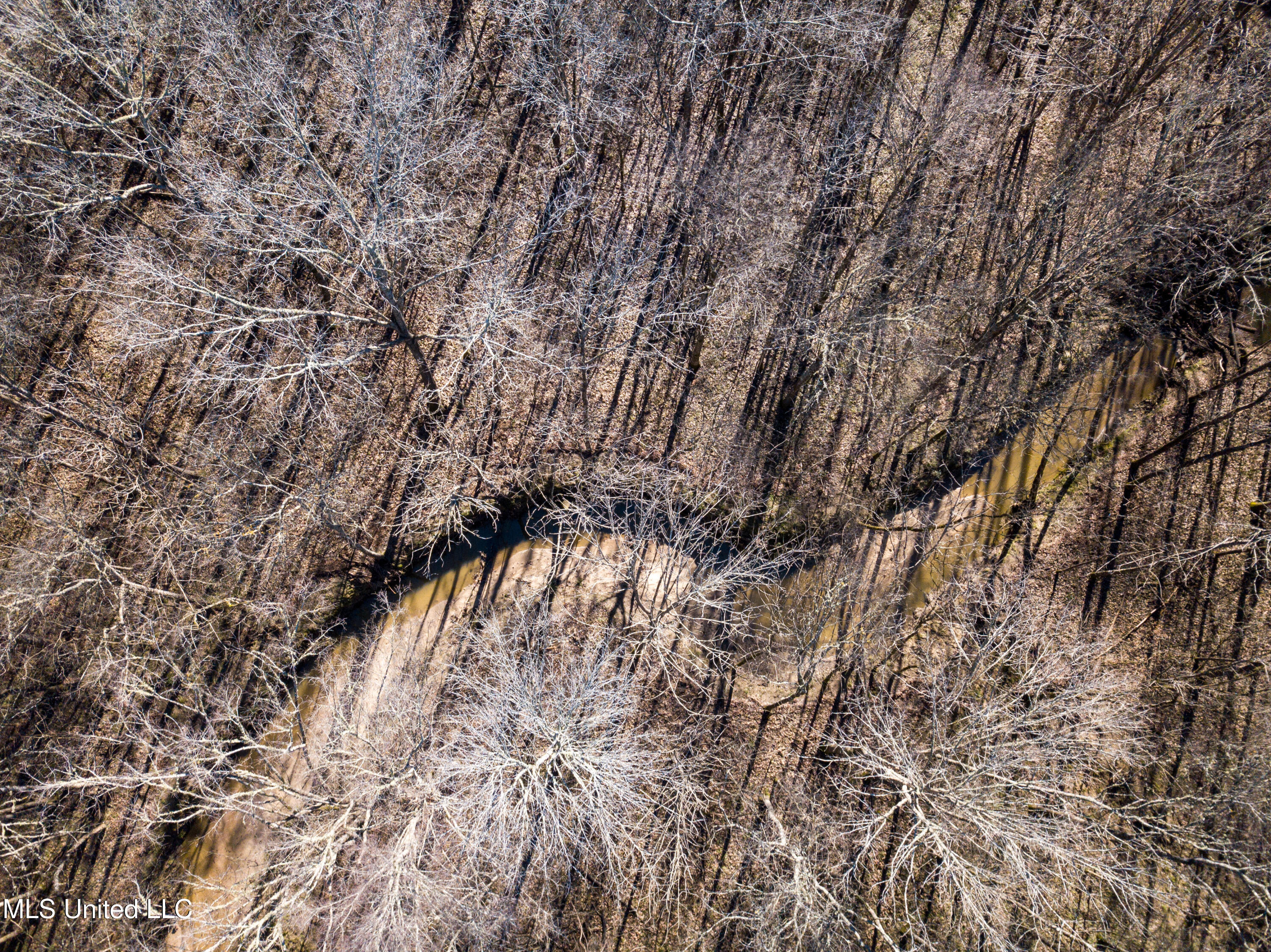 505 Highway Lawrence Ms 39336 Lawrence, MS 39336 - Photo 8 of 46 DJI_0715