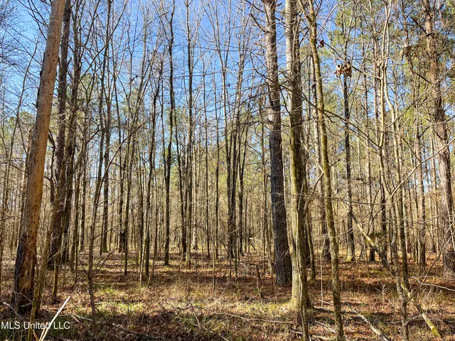 $99,311 | 505 Highway Lawrence Ms 39336, Lawrence, MS 39336