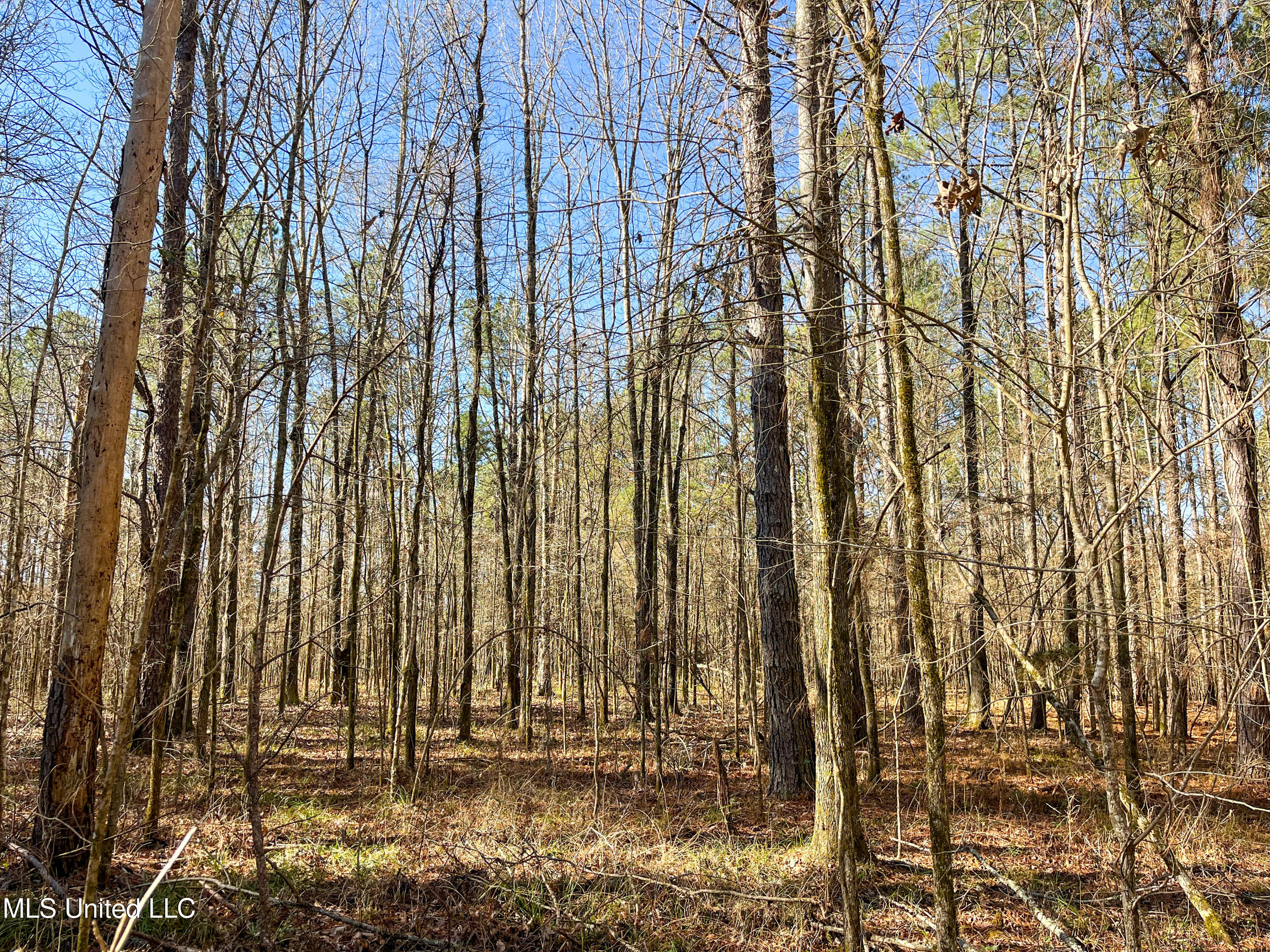 505 Highway Lawrence Ms 39336 Lawrence, MS 39336 - Photo 10 of 46 IMG_2057