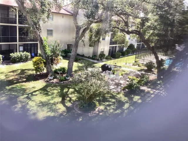 a view of a yard with plants