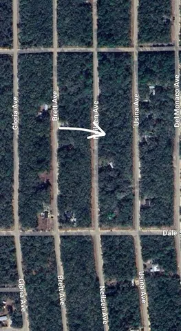 $7,400 | 7 Neilsen Avenue, Interlachen, FL 32148