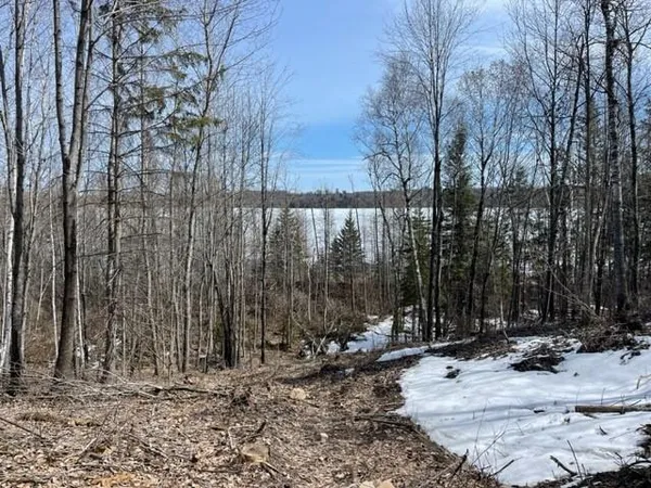 $129,900 | Tbd Lot 5 Tbd Drive, Lake George, MN 56458