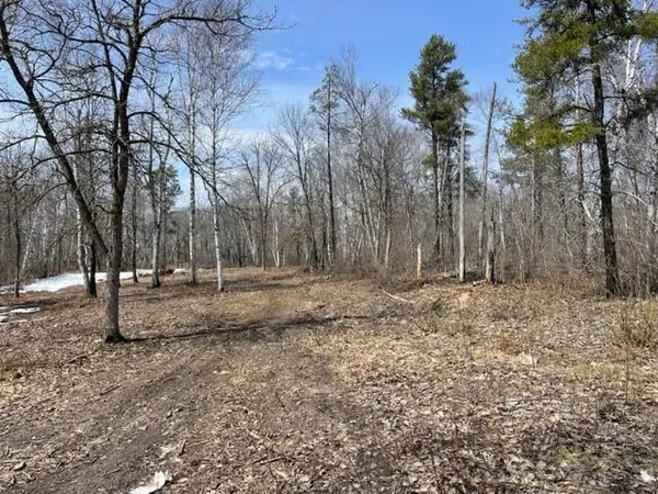 $129,900 | Tbd Lot 5 Tbd Drive, Lake George, MN 56458