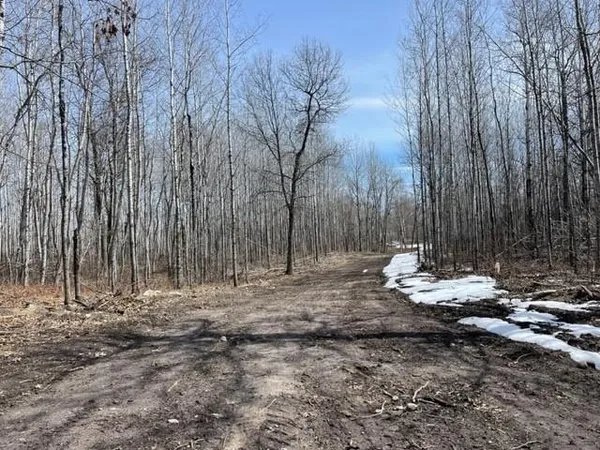 $129,900 | Tbd Lot 5 Tbd Drive, Lake George, MN 56458