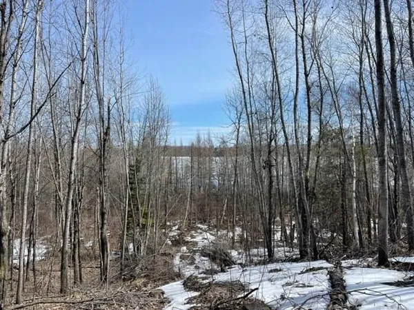 $129,900 | Tbd Lot 5 Tbd Drive, Lake George, MN 56458
