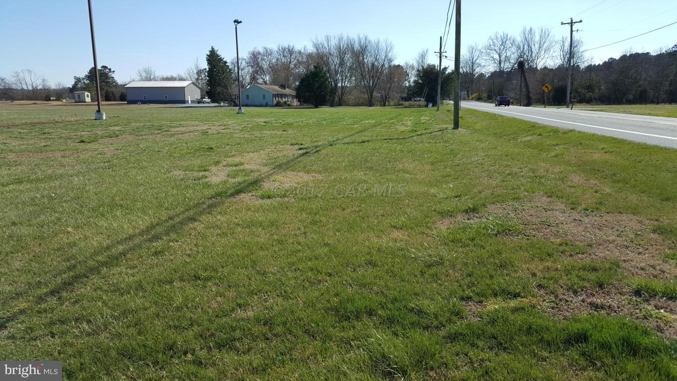 285 Nanticoke Road Bivalve, MD 21814 - Photo 1 of 1 a view of a park