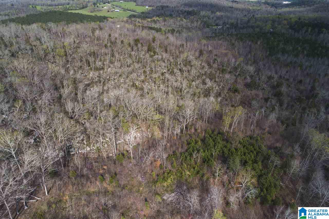 0 Joy Road Blountsville, AL 35031 - Photo 15 of 22