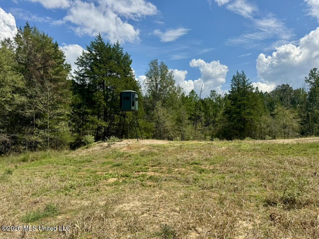 1 Chapel Hill Road Utica, MS 39175 - Photo 83 of 107 D3397A3A-EECC-462B-9AFC-287D975F4110_1_1