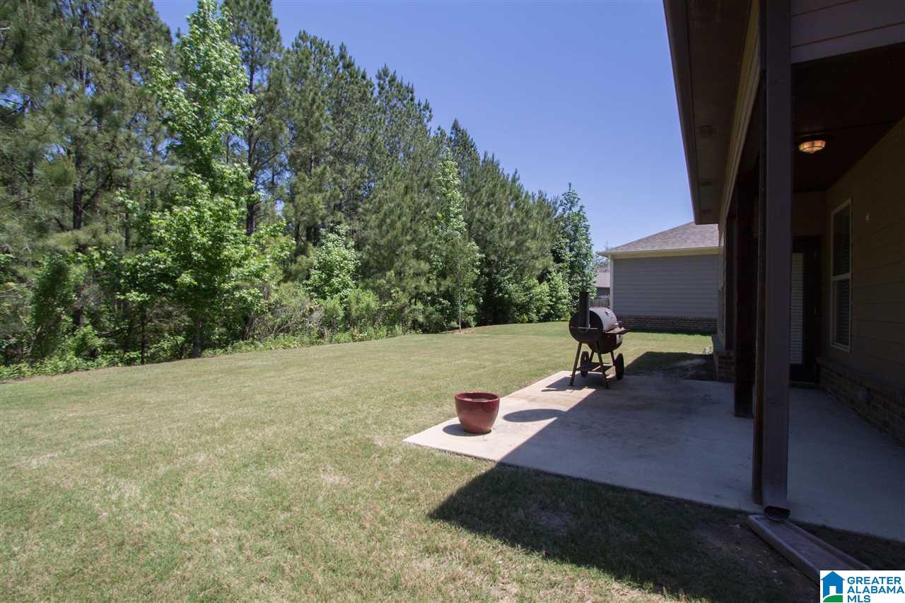 3012 Springfield Circle Chelsea, AL 35043 - Photo 38 of 43