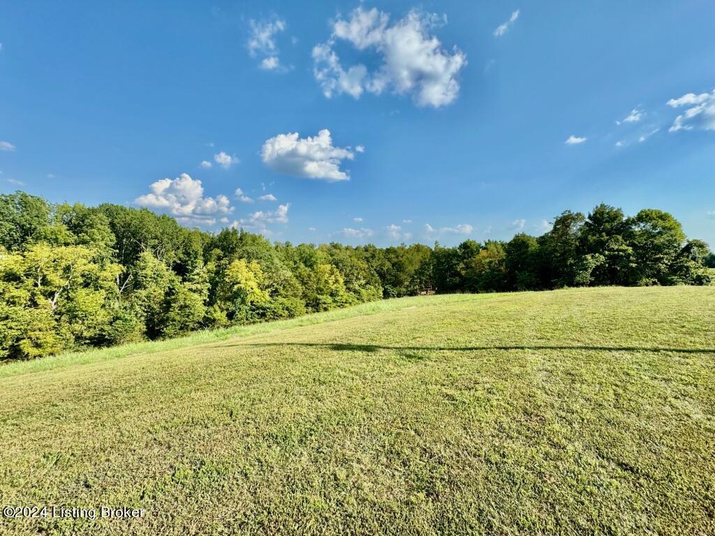 2411 Baker Ridge Road Willisburg, KY 40078 - Photo 68 of 74 065_IMG_9968