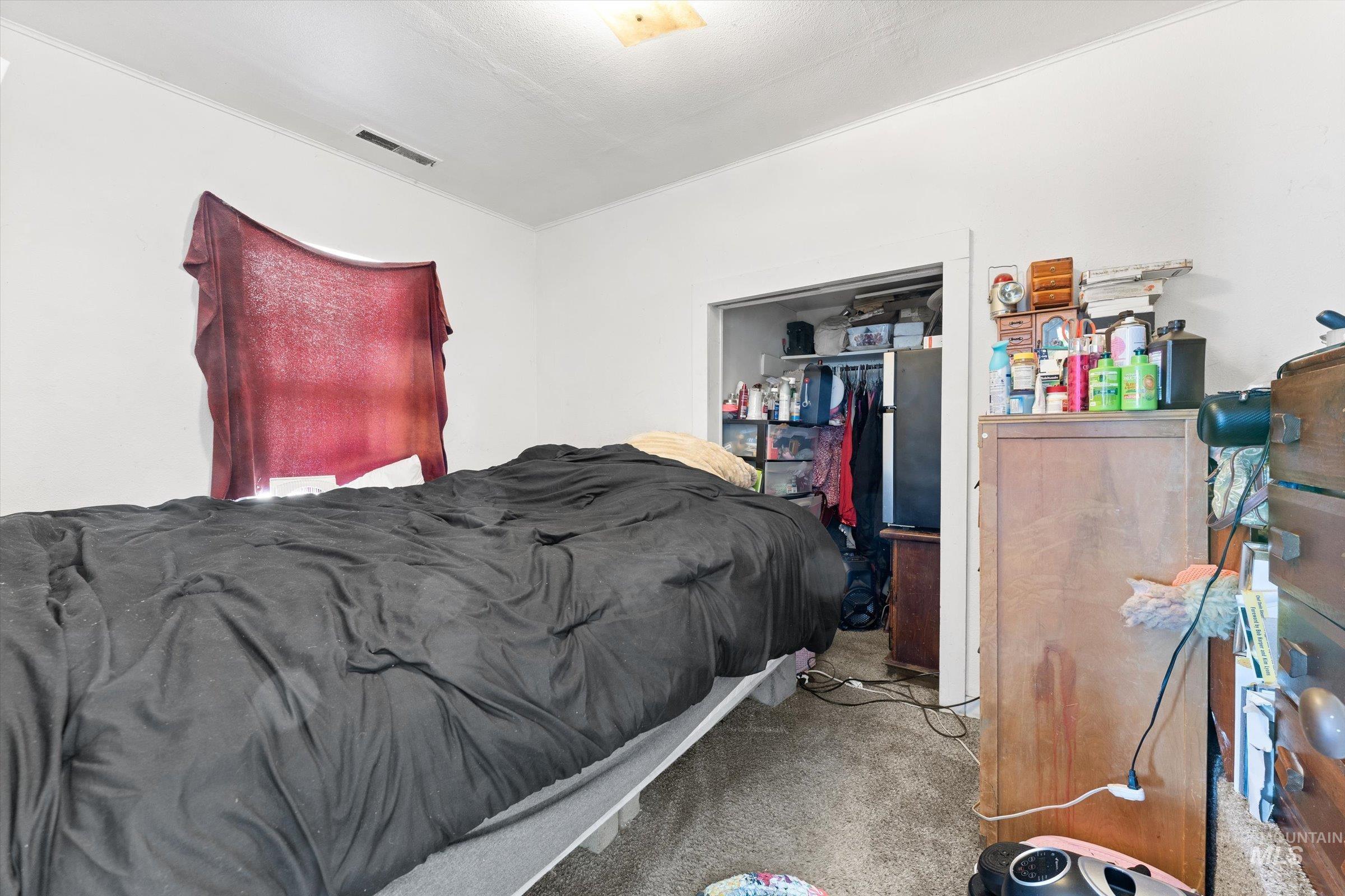 20286 Travis Road Wilder, ID 83676 - Photo 15 of 48 Bedroom featuring carpet floors and a closet
