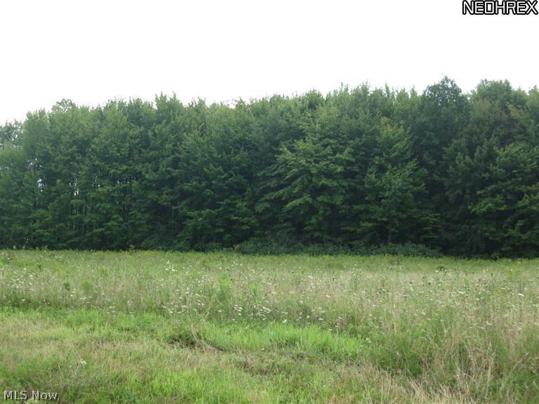 5631 Ledge Road Madison, OH 44057 - Photo 17 of 25 some open fields and this is a view of the right hand side of the woods near the back of the vineyards. A beautiful property to see, with some trails in the woods.