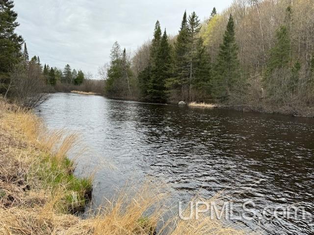Tbd River Country Road Iron River, MI 49935 - Photo 1 of 10