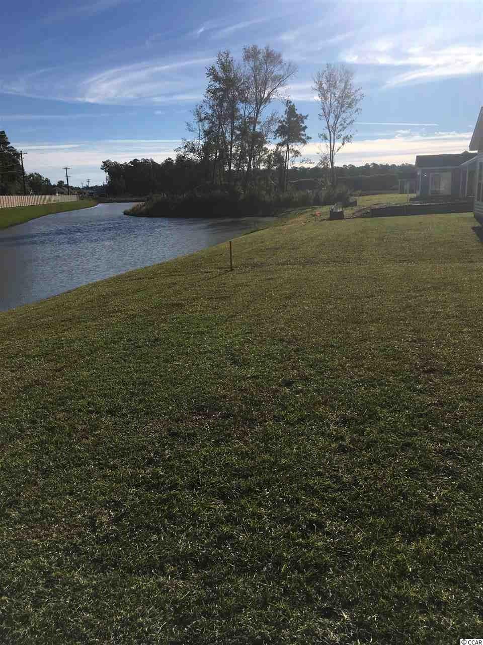 345 Cardita Loop Myrtle Beach, SC 29588 - Photo 17 of 21
