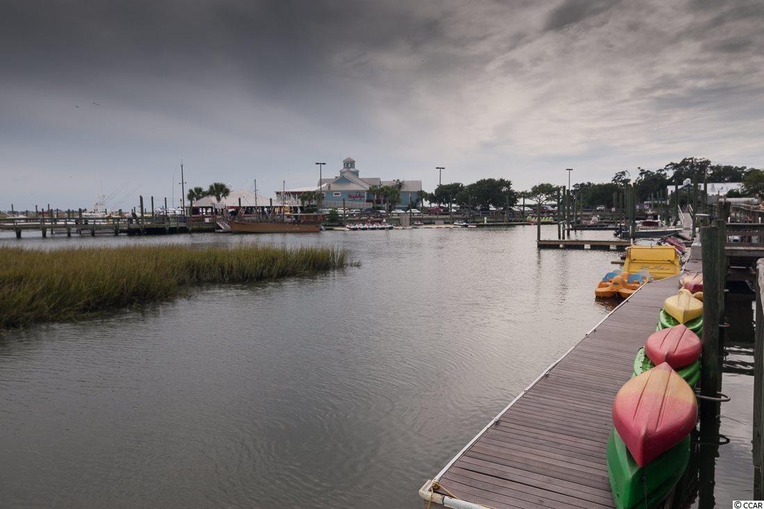 345 Cardita Loop Myrtle Beach, SC 29588 - Photo 20 of 21