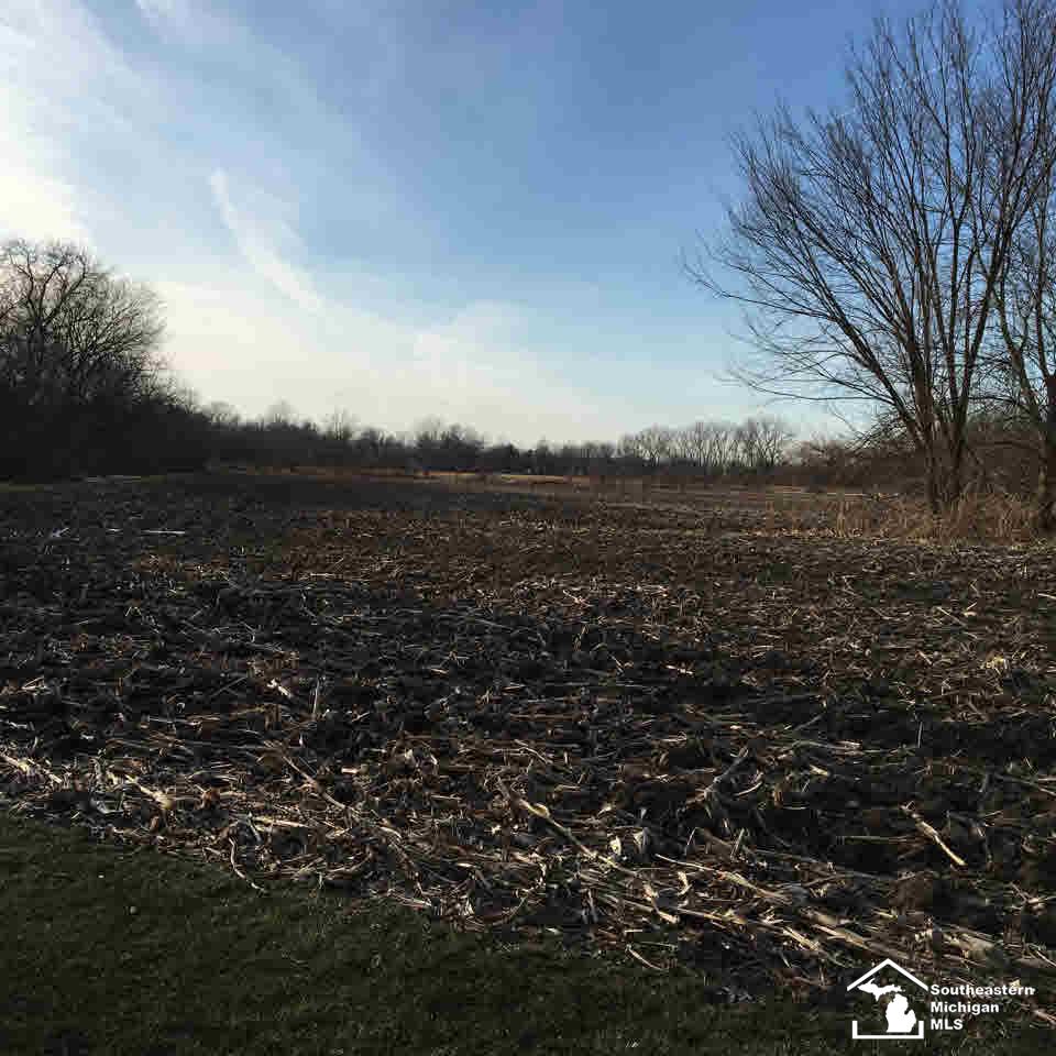 0 Wilson Carleton, MI 48117 - Photo 2 of 4 Gallery Image 2