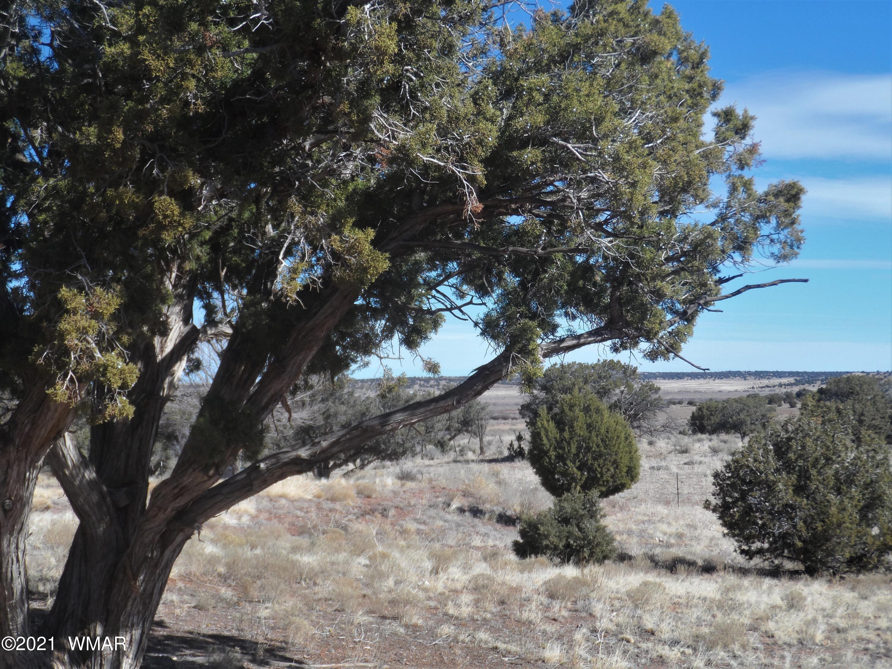 89 County Road Concho, AZ 85924 - Photo 27 of 29