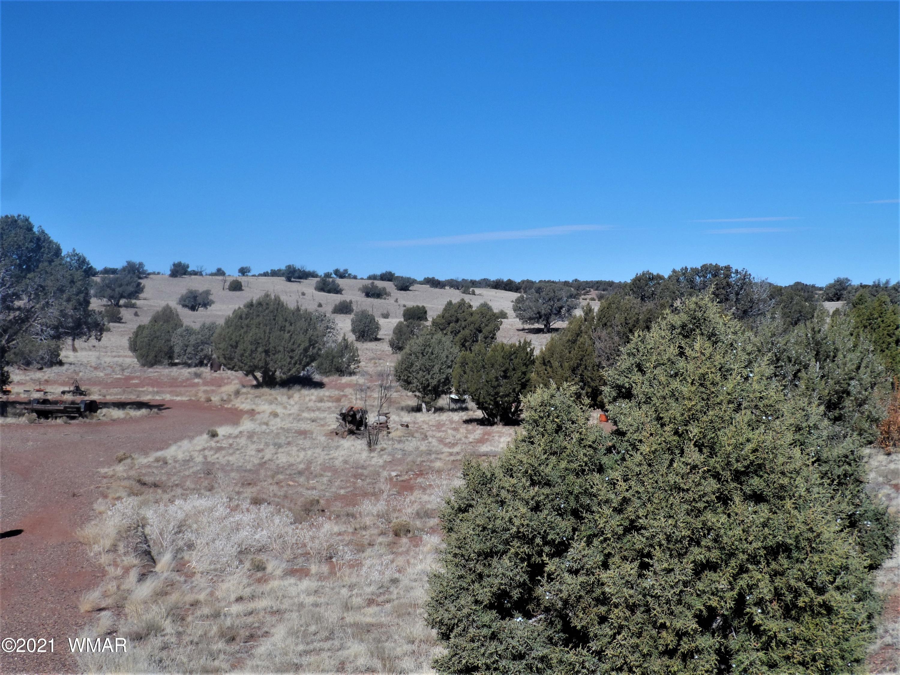 89 County Road Concho, AZ 85924 - Photo 28 of 29