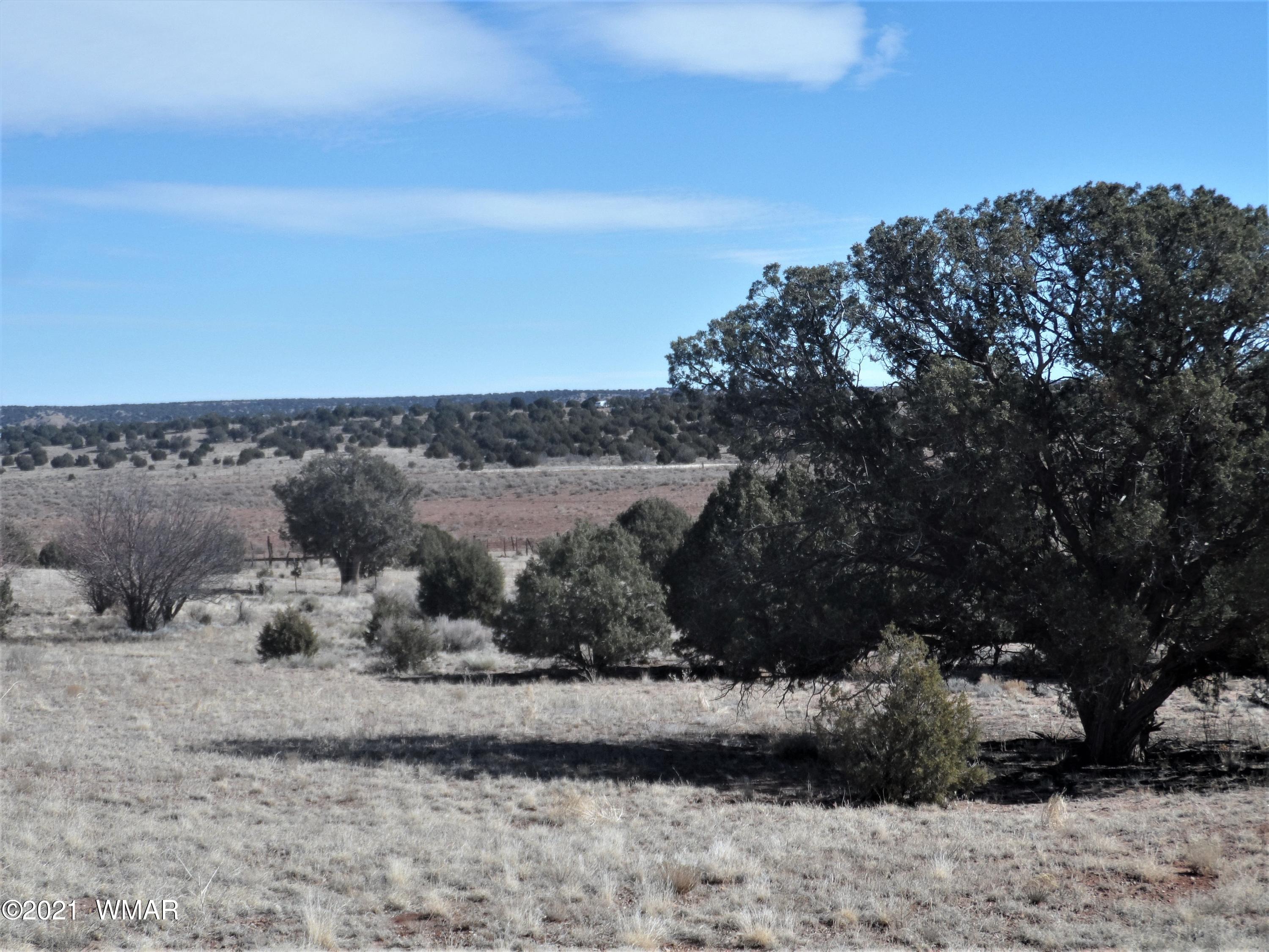 89 County Road Concho, AZ 85924 - Photo 29 of 29