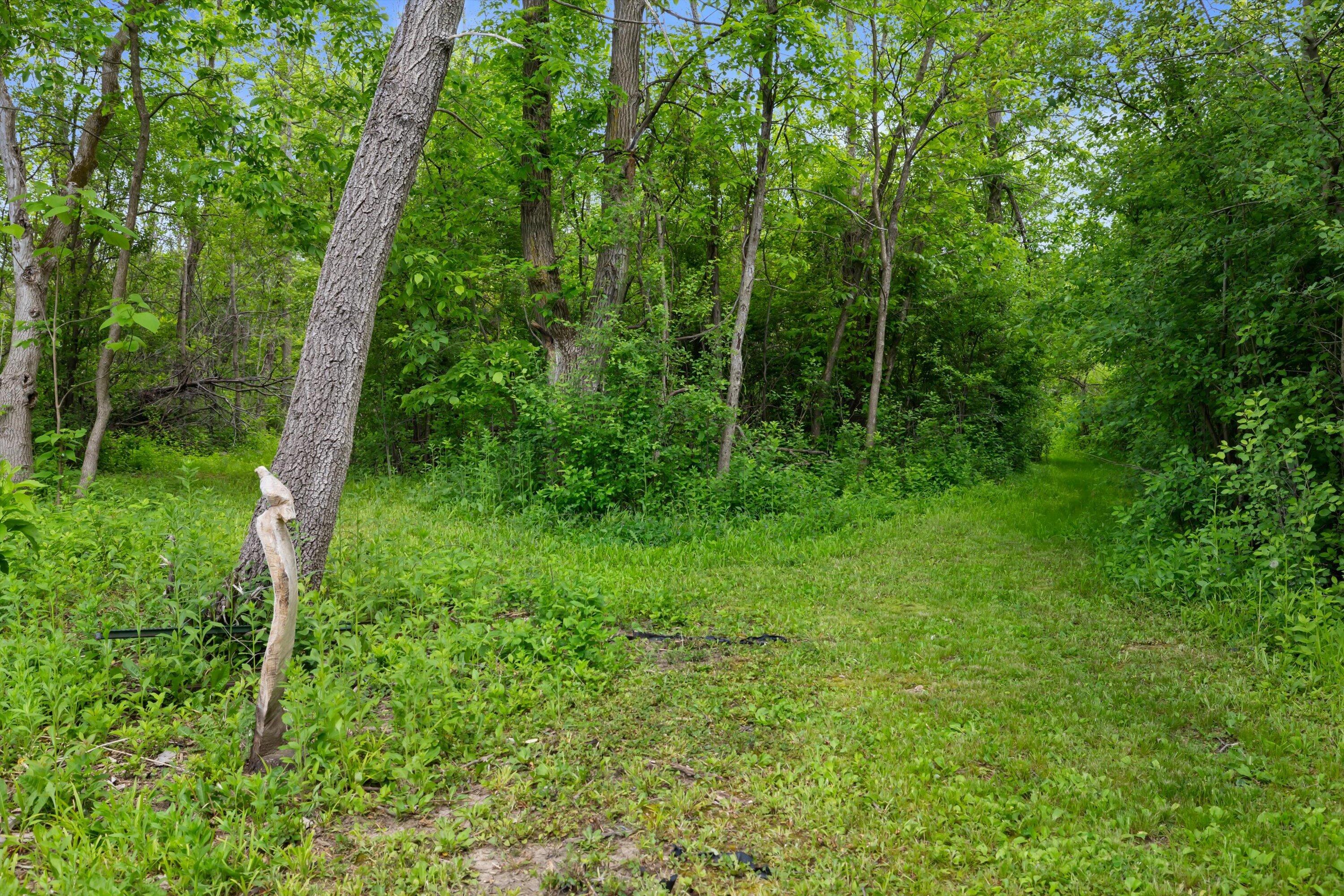 7828 West Puetz Road Franklin, WI 53132 - Photo 52 of 53 51-IMG_5583