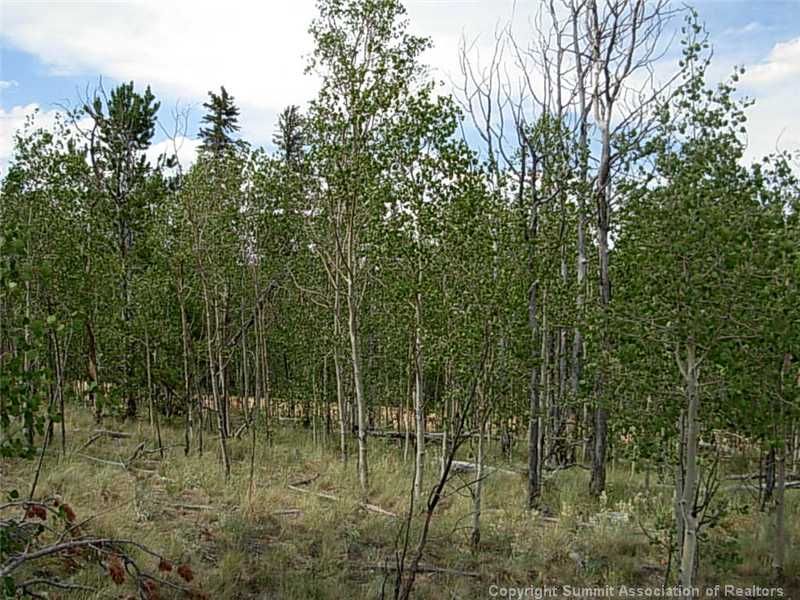 42 Smith And Wesson Road Como, CO 80432 - Photo 10 of 12 Land/Lot.