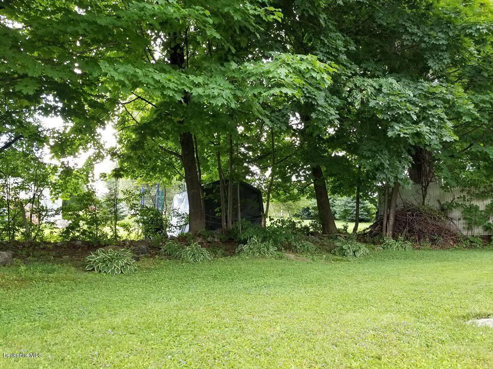55 Natural Bridge Road North Adams, MA 01247 - Photo 14 of 47 Yard