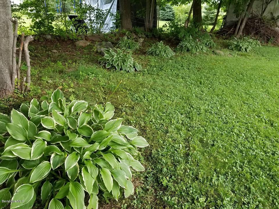 55 Natural Bridge Road North Adams, MA 01247 - Photo 17 of 47 Plantings
