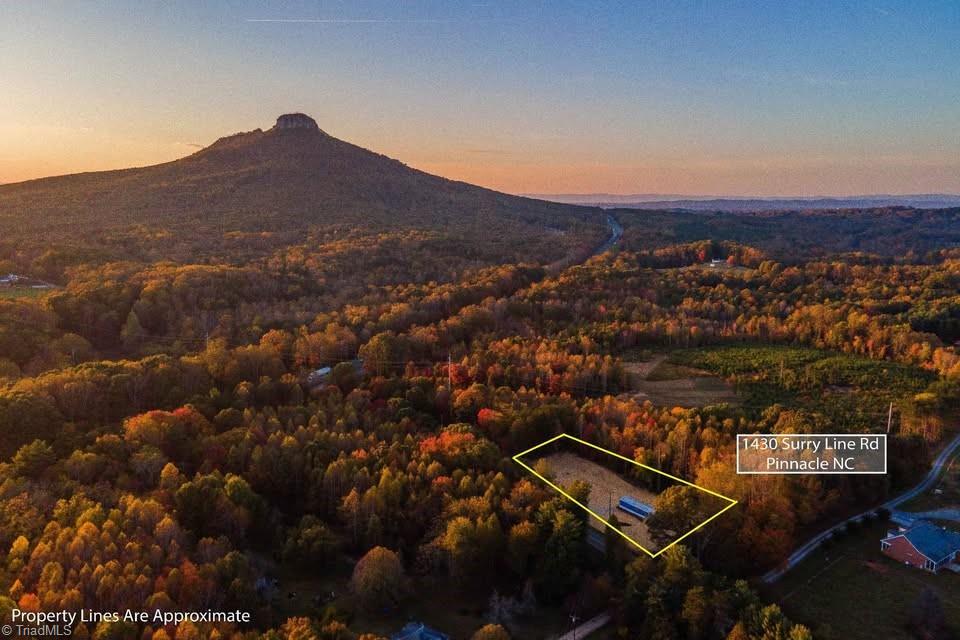 1430 Surry Line Road Pinnacle, NC 27043 - Photo 11 of 25