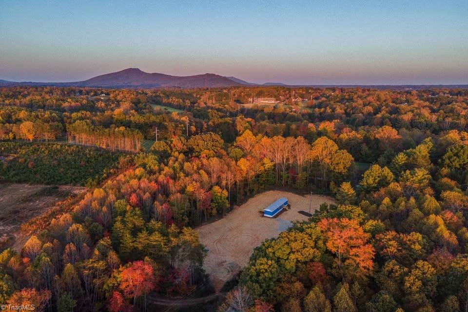 1430 Surry Line Road Pinnacle, NC 27043 - Photo 10 of 25