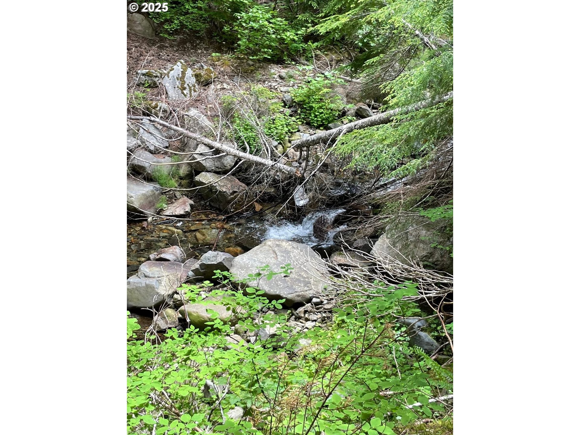 Champion Creek Road Dorena, OR 97434 - Photo 20 of 27