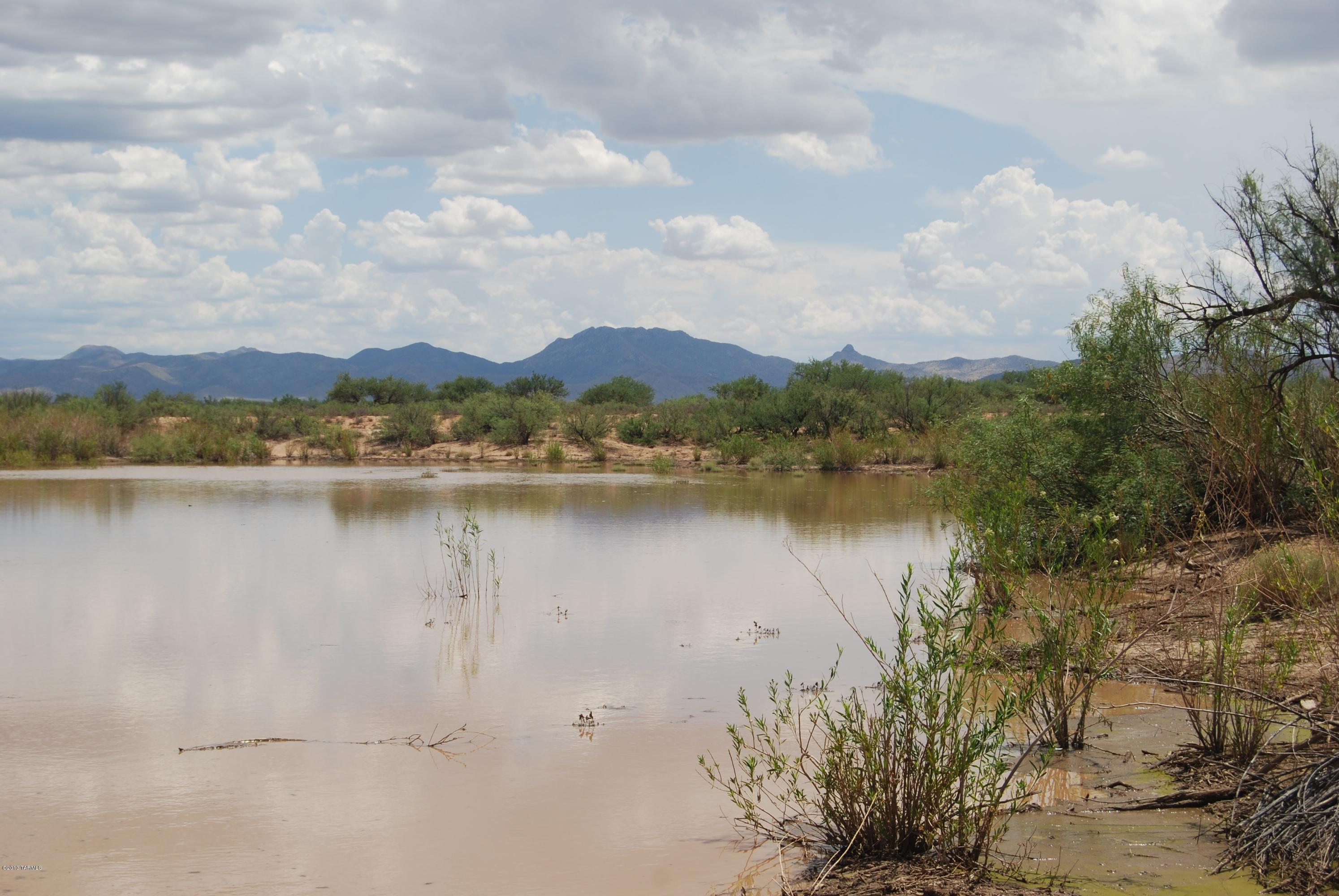 Music Road East Bowie, AZ 85605 - Photo 5 of 6