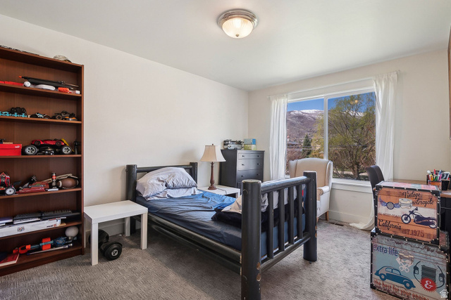 550 Pine Canyon Road Midway, UT 84049 - Photo 22 of 44 Bright interior space featuring a large window, carpet flooring, a built-in bookshelf, and a flush mount ceiling light
