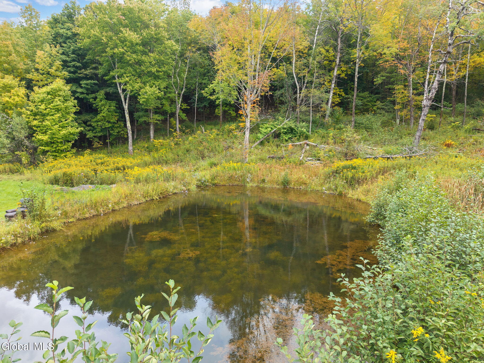 400 Stannard Road Summit, NY 12036 - Photo 36 of 45 36-400StannardRd_036