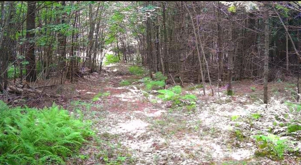 0 Granite Road Ossipee, NH 03864 - Photo 6 of 32