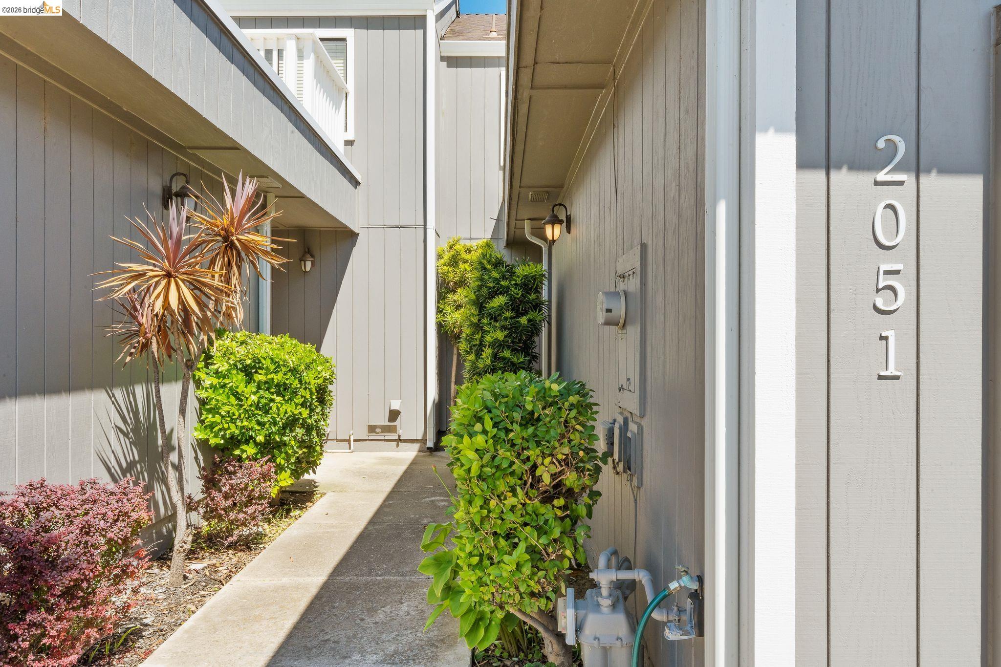 2051 Sand Point Road Discovery Bay, CA 94505 - Photo 6 of 47 Exterior siding with vertical paneling, featuring contemporary house numbers, a concrete walkway, and established landscaping with various plant species