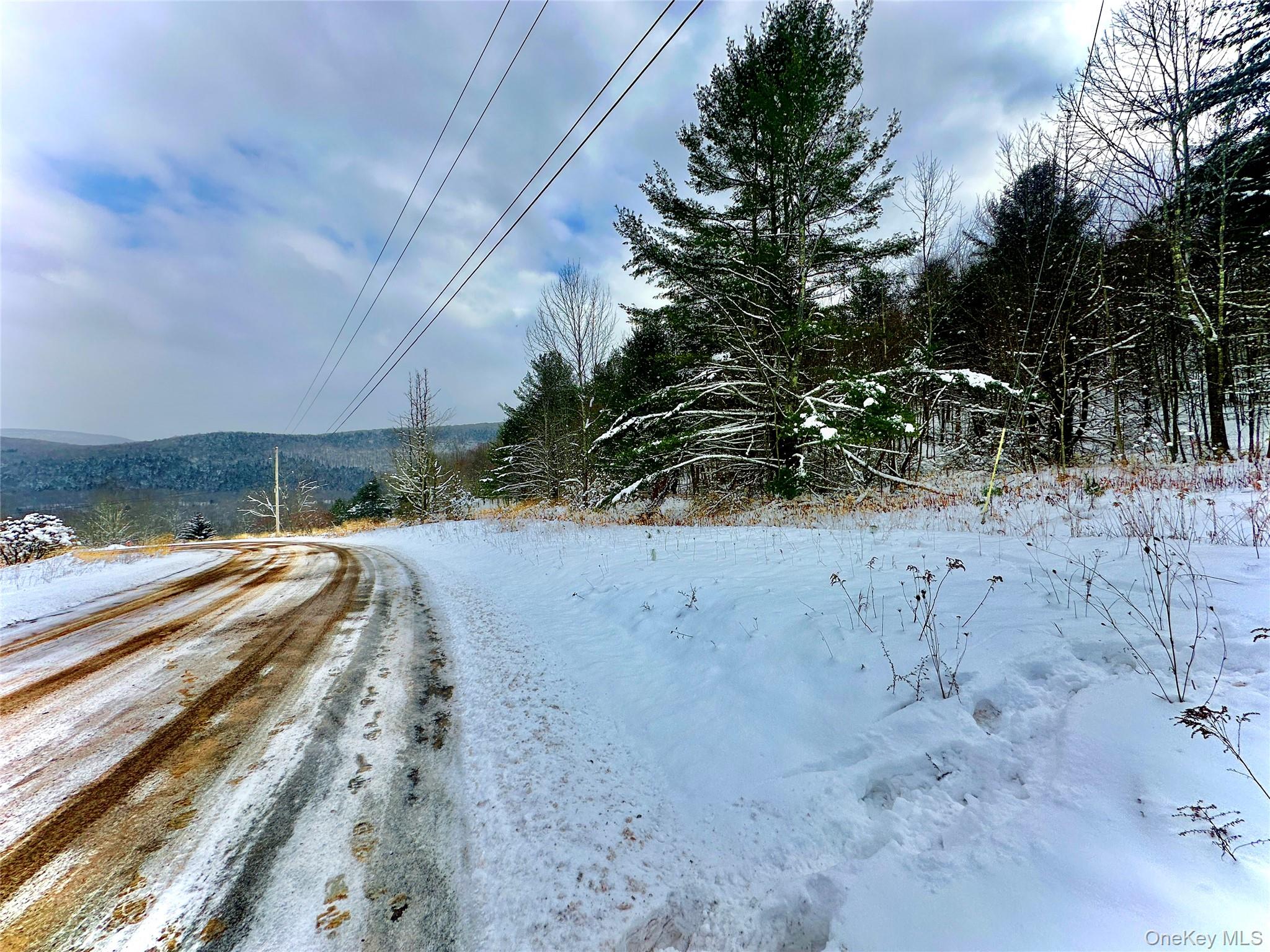 Quail Ridge Road Margaretville, NY 12455 - Photo 11 of 37