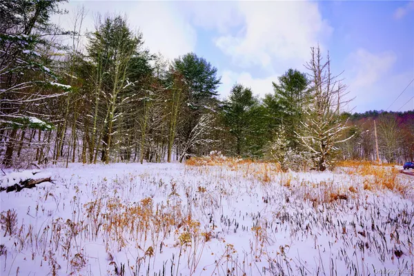 a view of snow covered with trees