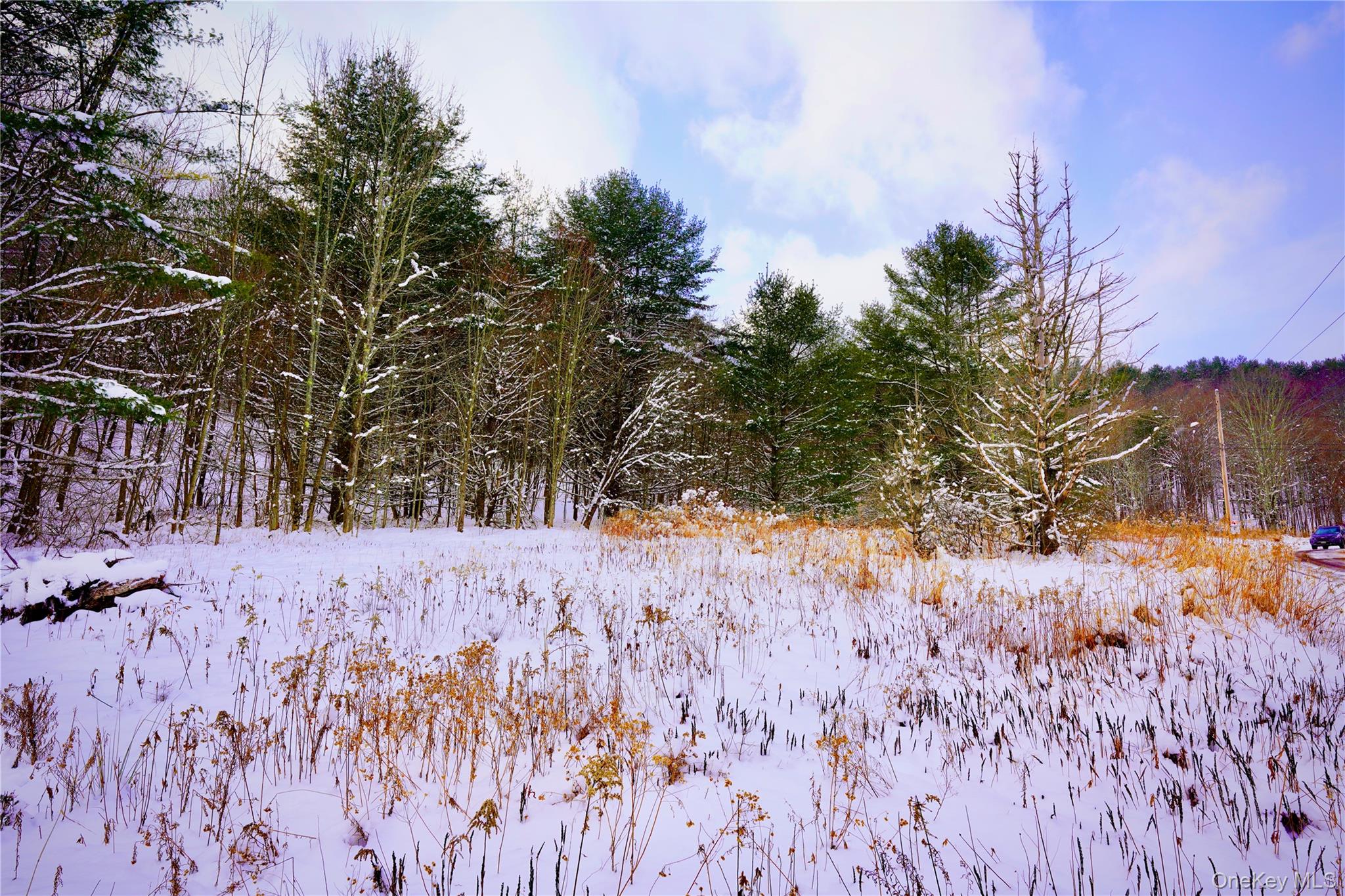 Quail Ridge Road Margaretville, NY 12455 - Photo 15 of 37