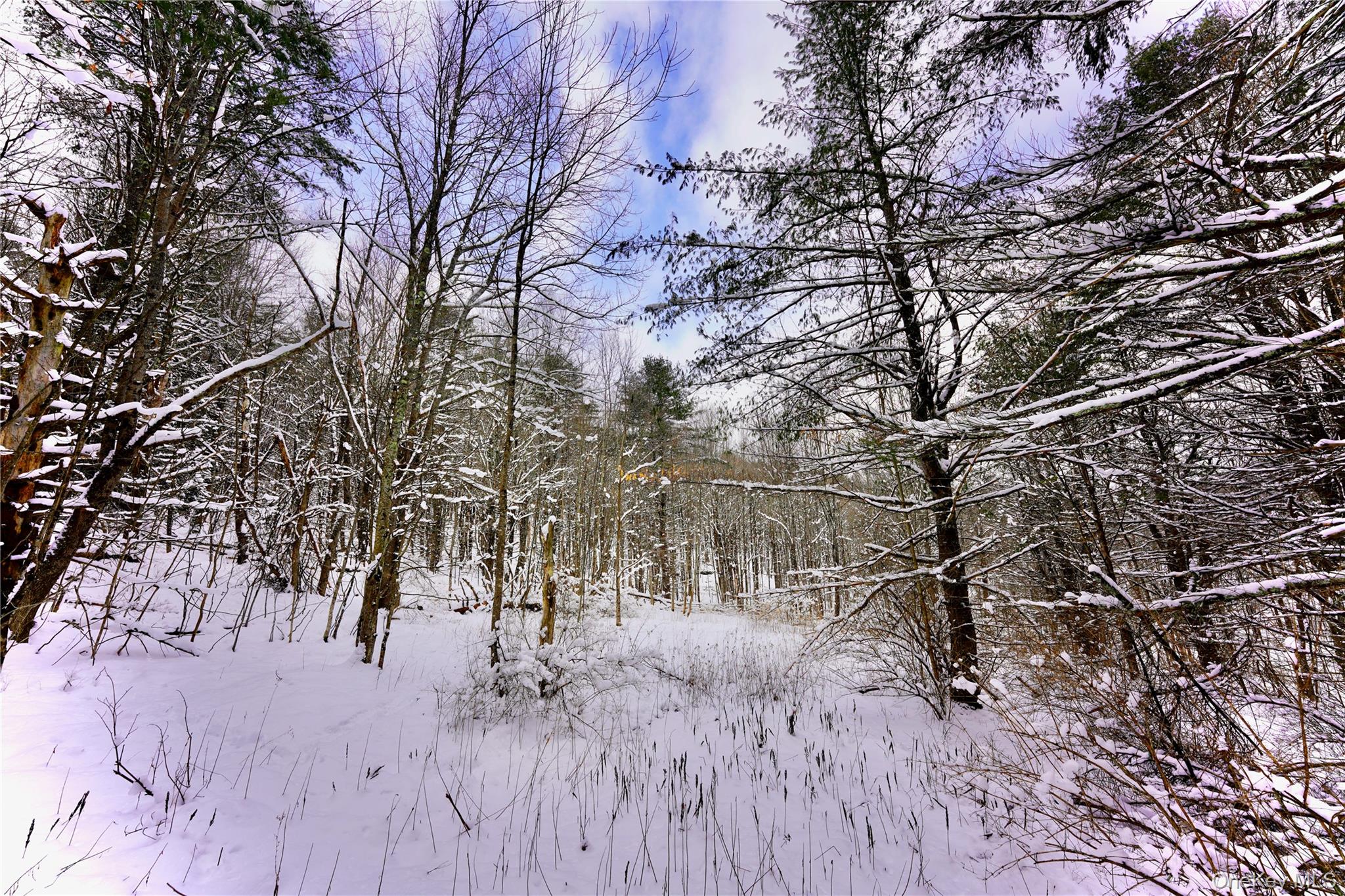 Quail Ridge Road Margaretville, NY 12455 - Photo 16 of 37