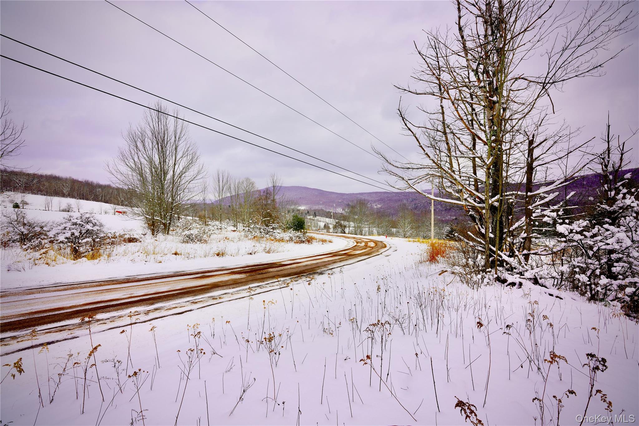 Quail Ridge Road Margaretville, NY 12455 - Photo 17 of 37