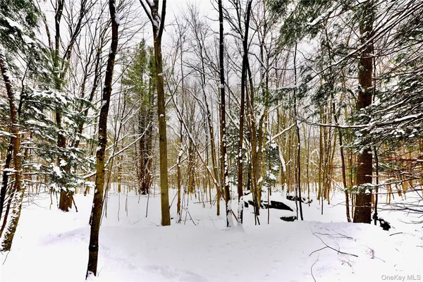 a view of outdoor space with lots of trees