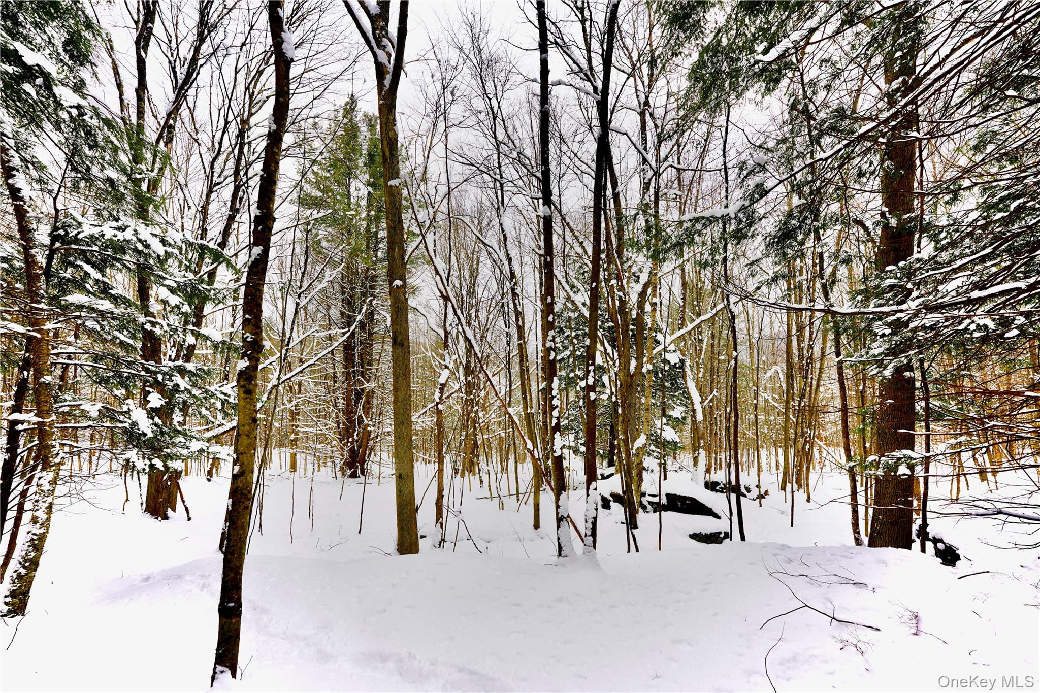 Quail Ridge Road Margaretville, NY 12455 - Photo 18 of 37