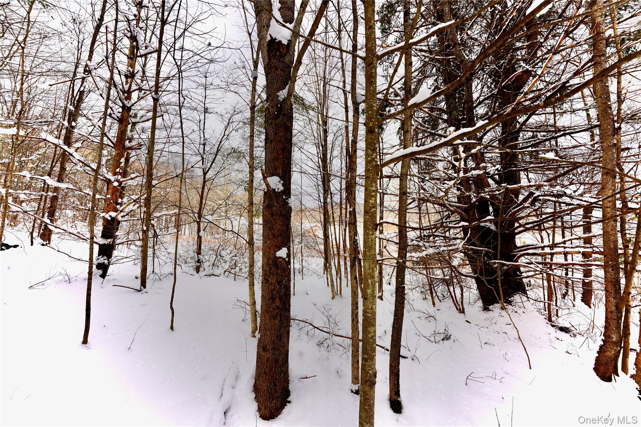 Quail Ridge Road Margaretville, NY 12455 - Photo 20 of 37