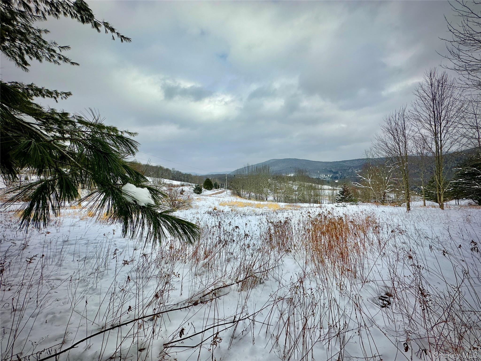 Quail Ridge Road Margaretville, NY 12455 - Photo 2 of 37