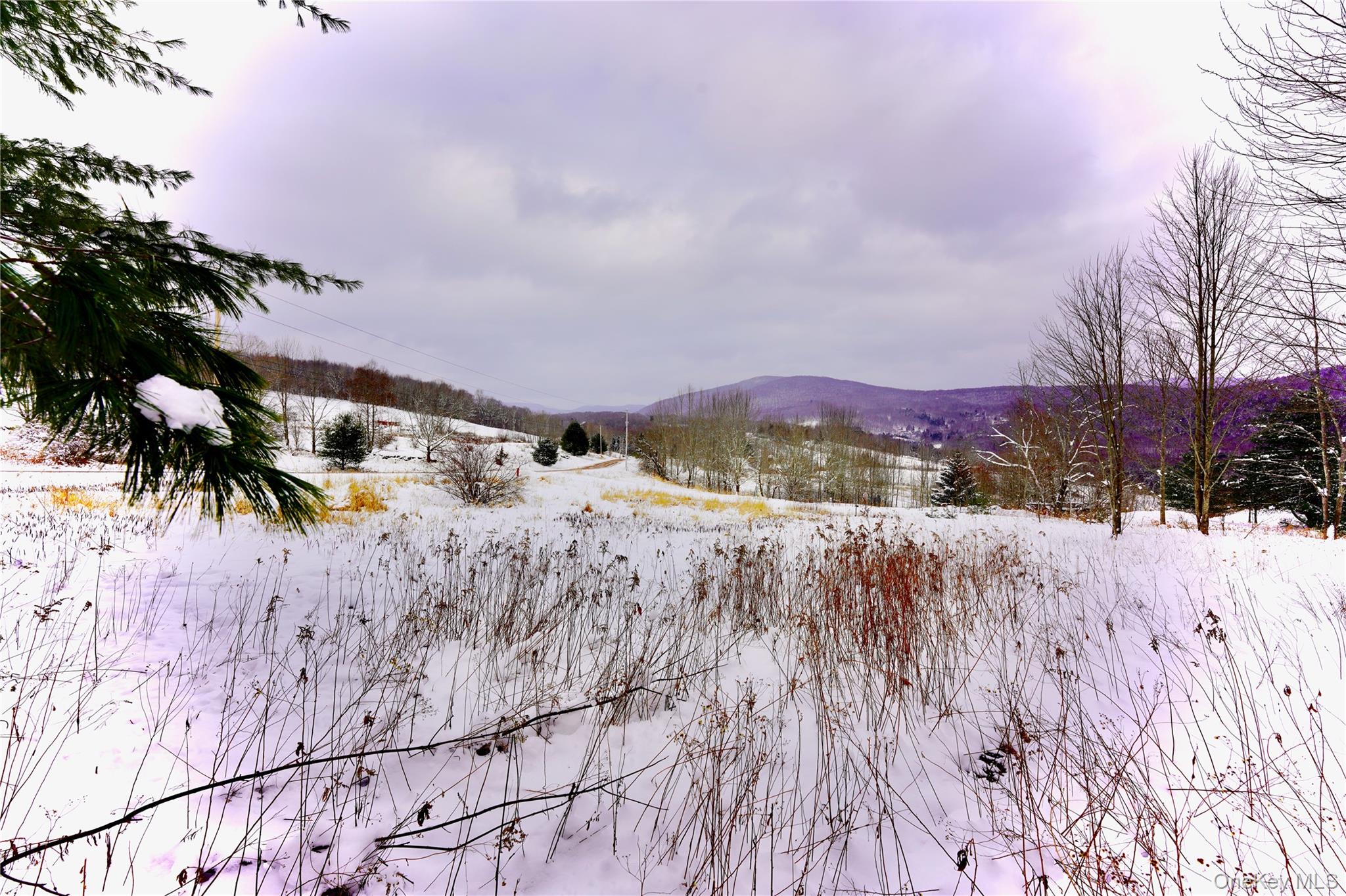 Quail Ridge Road Margaretville, NY 12455 - Photo 23 of 37