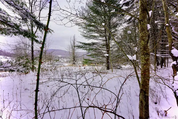 a view of a yard with trees