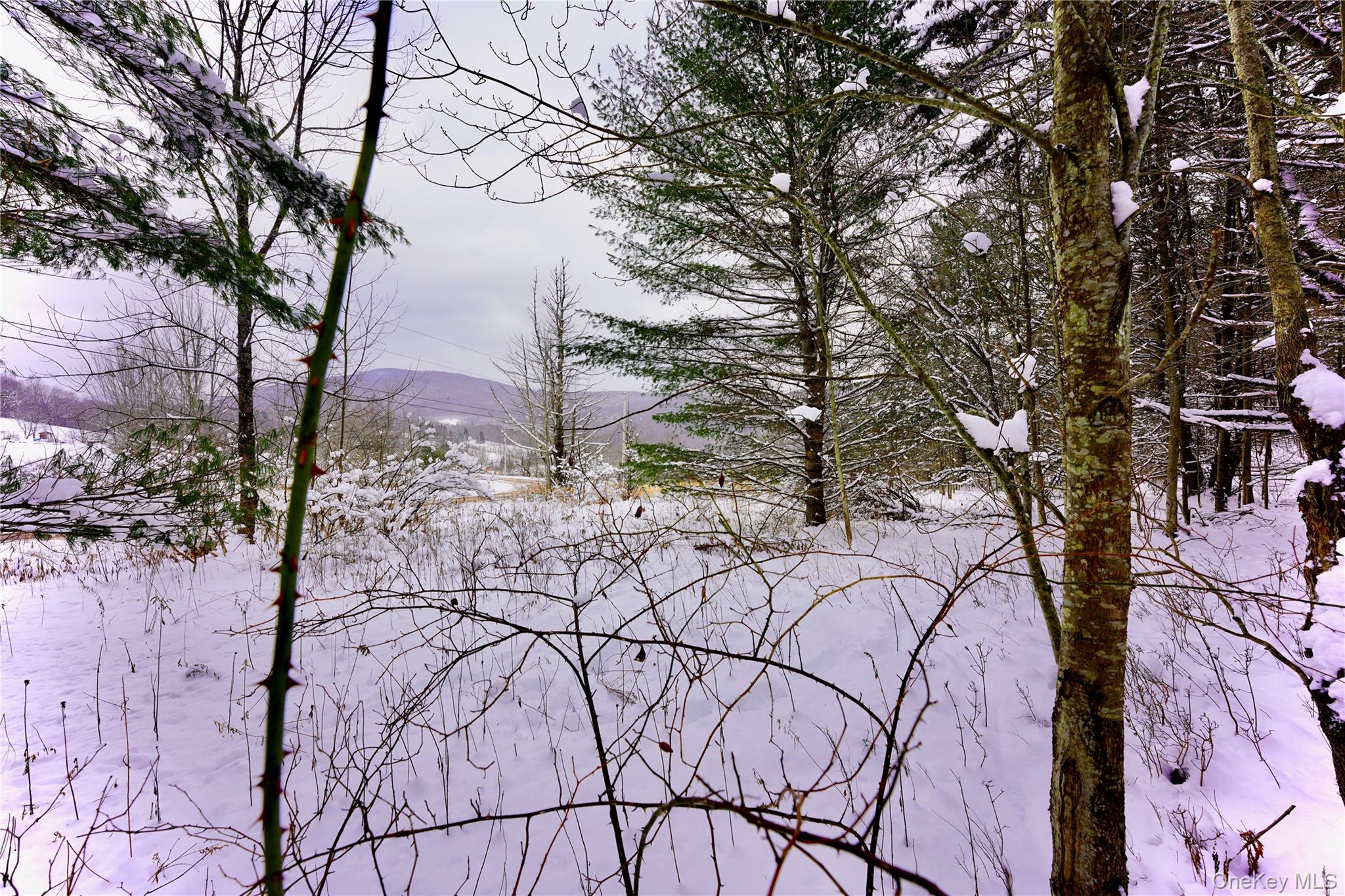 Quail Ridge Road Margaretville, NY 12455 - Photo 24 of 37