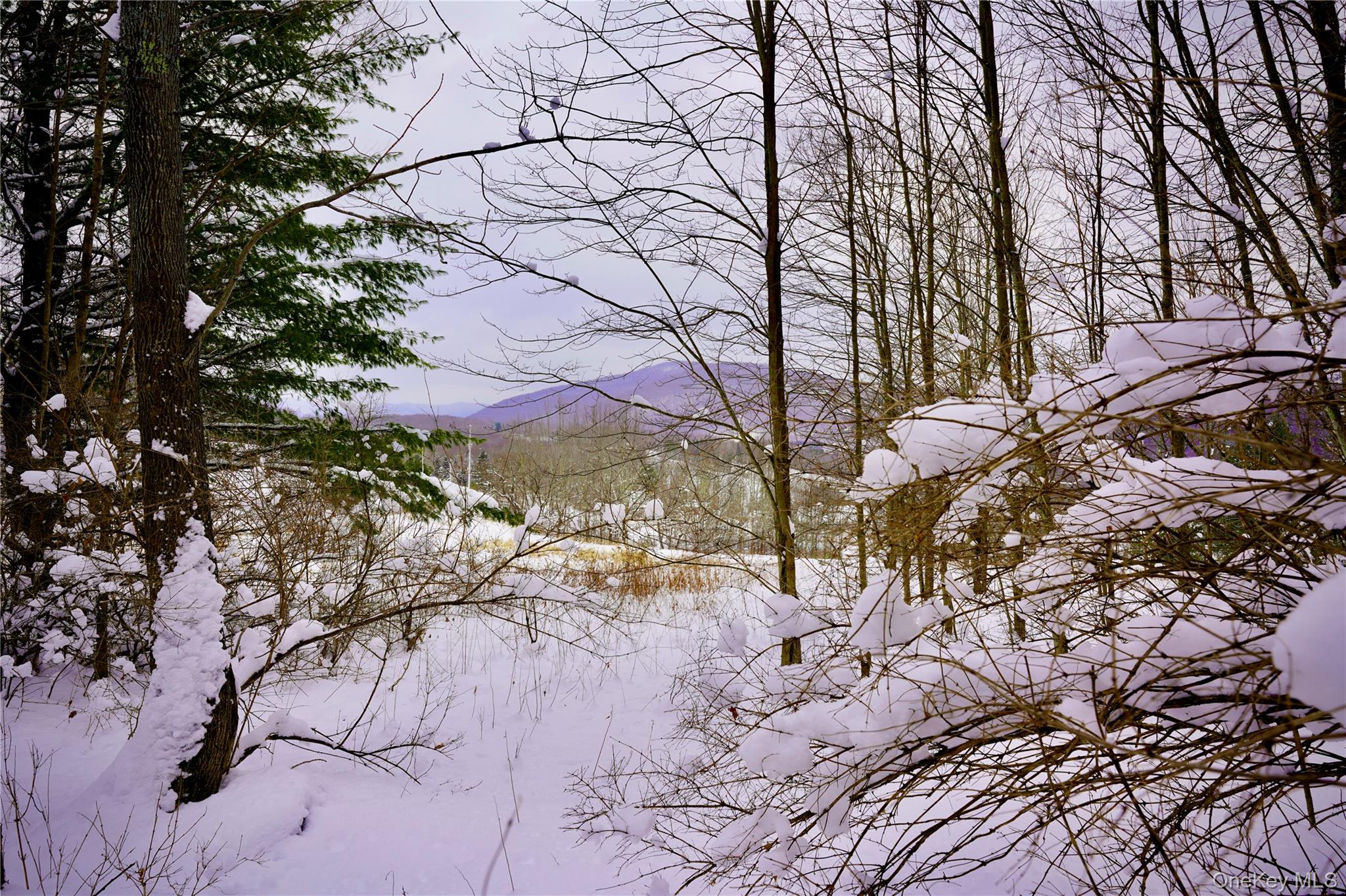 Quail Ridge Road Margaretville, NY 12455 - Photo 25 of 37