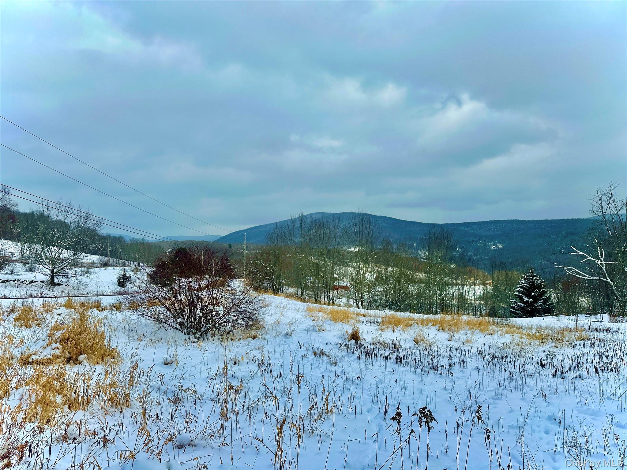 Quail Ridge Road Margaretville, NY 12455 - Photo 26 of 37