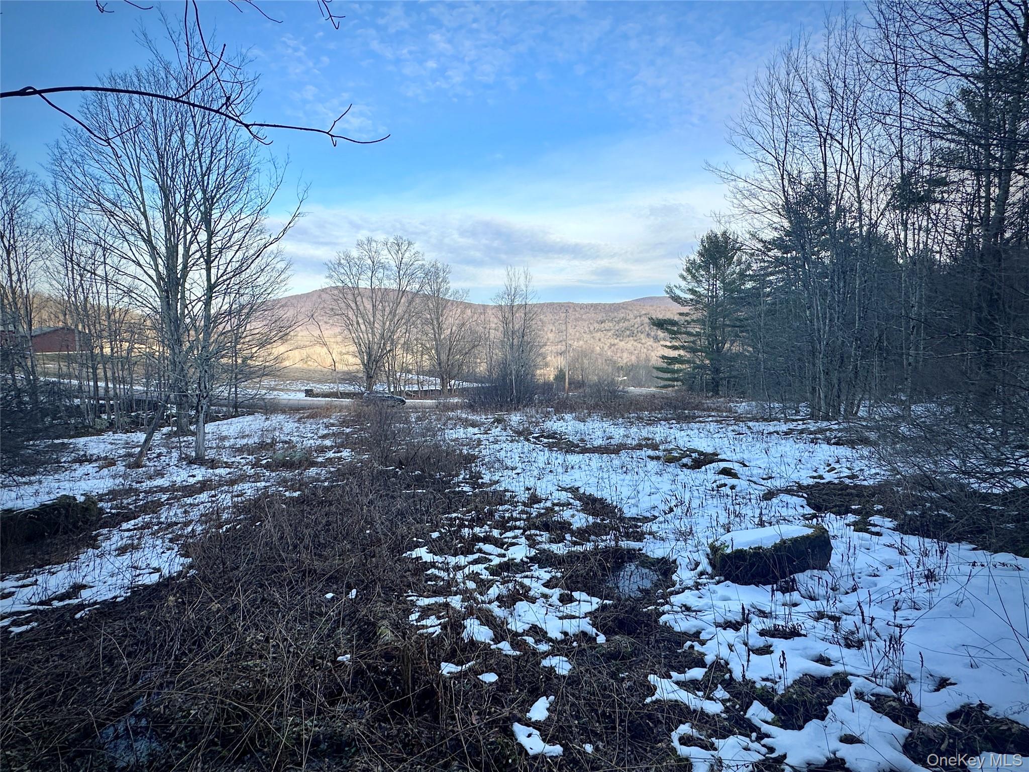 Quail Ridge Road Margaretville, NY 12455 - Photo 28 of 37